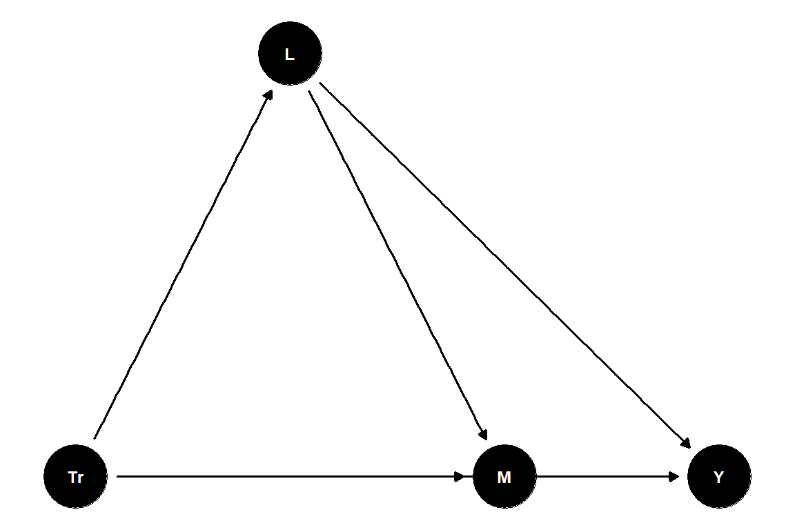 Directed graph with T pointing to L, M and Y; L pointing to M and Y; and M pointing to Y.