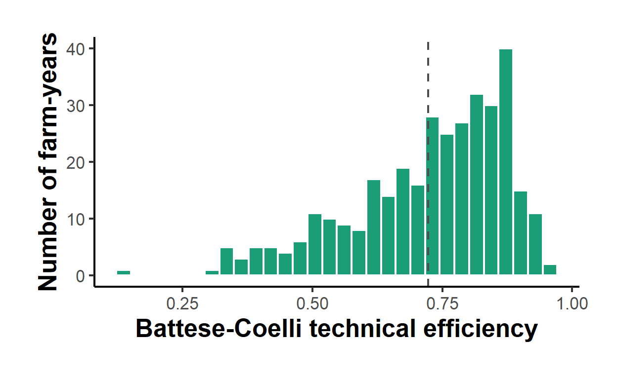 Distribution of Battese-Coelli technical efficiency scores across 344 Philippine rice farm-year observations. The mass sits near 0.8, so the typical farm produces about 80 percent of the output its inputs make feasible at best practice.
